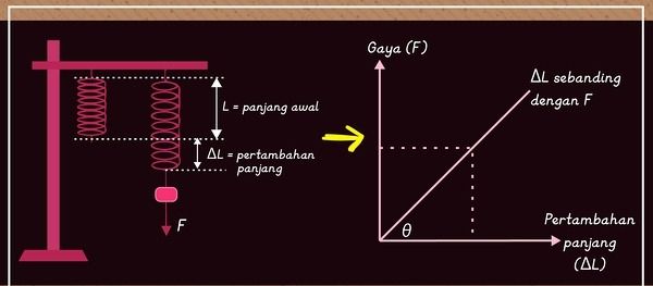 Gambar 2. Pengaruh gaya yang bekerja terhadap pegas (Dokpri)