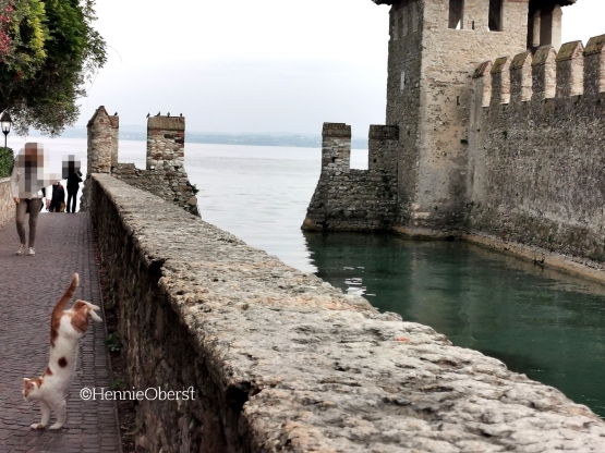 Kastel Sirmione Italia | foto: HennieTriana