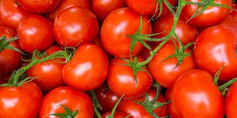 Ilustrasi tomat (Foto: sehatq.com)