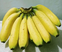 Konsumsi pisang rutin setiap hari untuk meningkatkan imunitas tubuh (dokpri)