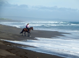 Ilustrasi gadis menungang kuda di pantai oleh Natalia_Kollegova dari pixabay.com