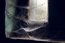 Jaring laba-laba yang sudah menumpuk di sudut ruangan (foto nakita.grid.id)