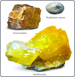 Kadmium murni dan mineral Greenockite dan Smithsonite. Diadaptasi dari: buku Periodic Table Book - A Visual Encyclopedia, hlm. 86.