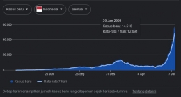 Tangkapan layar grafik kasus positif harian di Indonesia (support.google.com).