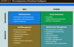 Source: Adapted from Richard E. Boyatzis and Daniel Goleman, The Emotional Competence Inventory---University Edition (Boston,MA: The Hay Group, 2001)