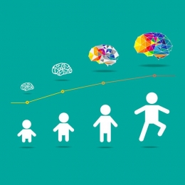 Ilustrasi pola kerja otak manusia (gambar : www.medicaldaily.com)