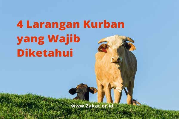 qurban pun ada larangannya (zakat.or.id)