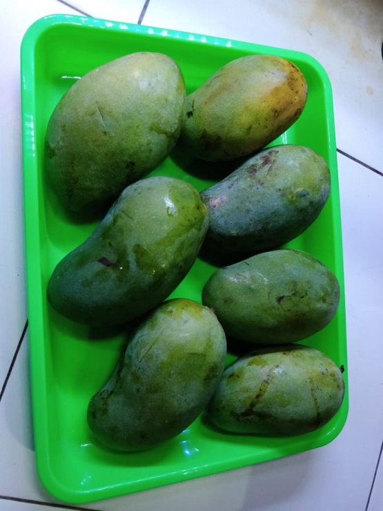 Mangga Arum Manis, sumber: dokumentasi pribadi