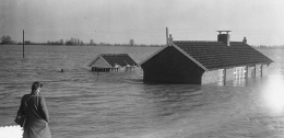 Foto: Bencana banjir 1953 di provinsi Zeeland di Belanda (Sumber: IsGeschiedenis)