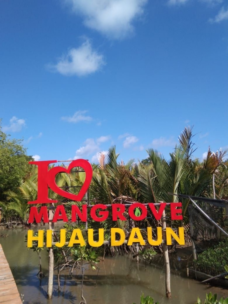Lokasi ekowisata Mangrove Hijau Daun, Pulau Bawean/dokpri