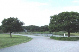 Taman luas dan besar di area Imreial palace, Istana Kekaisaran Jepan, Tokyo. Sumber Gambar: www.en.japantravel.com