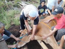 Prosesi penyembelihan hewan kurban langsung oleh KH. Dede Hidayat pimpinan pondok pesantren Arafah Cendekia Tarogong Kaler Garut (Dok. Pribadi)