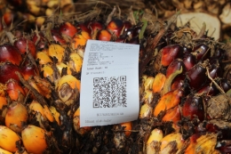 Harvesting Ticket kelapa sawit menggunakan platform Electronic Plantation Control System (www.ekomoditi.id) 