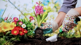 Ilustrasi orangtua menerapkan pola asuh gardener | Sumber: Perrys Accountants