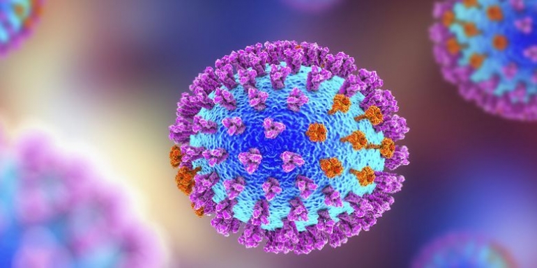 Ilustrasi virus influenza(SHUTTERSTOCK/Kateryna Kon)