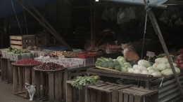 Kondisi salah satu Pedagang Sayur di Pasar Kemiri Depok/dokpri
