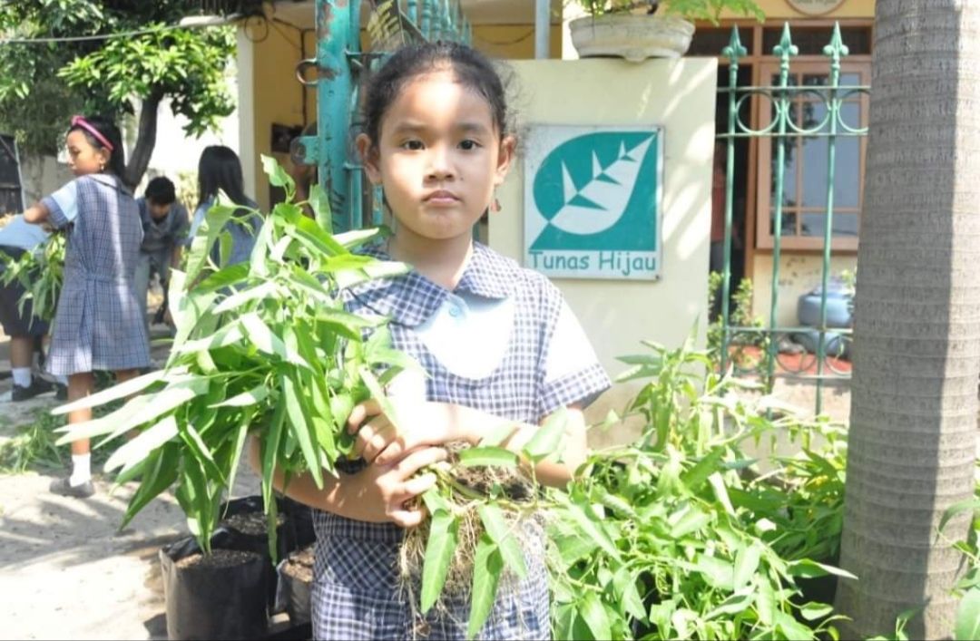 Berkebun Kreatif Dengan Media Tanam Sederhana Di Sekitar Kita Halaman 1 ...