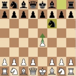 https://chesspathways.com/chess-openings/kings-pawn-opening/alekhine-defense/