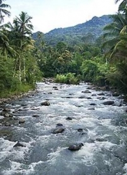 Gambar sungai mengalir