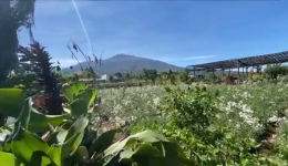 Cuplikan Pembukaan Video Profil Desa Bulukerto. Sumber: Dokumentasi Penulis  