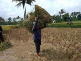 Berhasil. (dokumen pribadi)