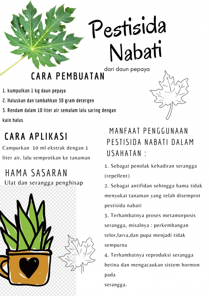 Cara Pembuatan Pestisida Nabati/dokpri