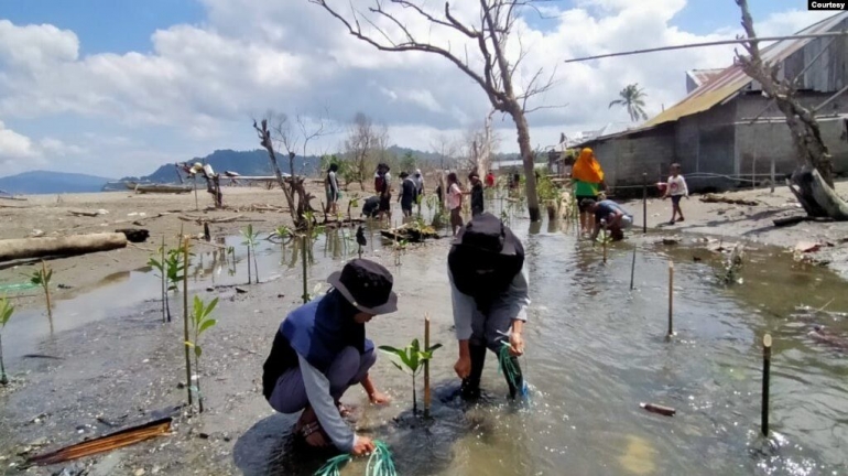 Gambar 4. Warga Donggala melakukan penanamab bibit bakau untuk mencegah banjir rob[15]