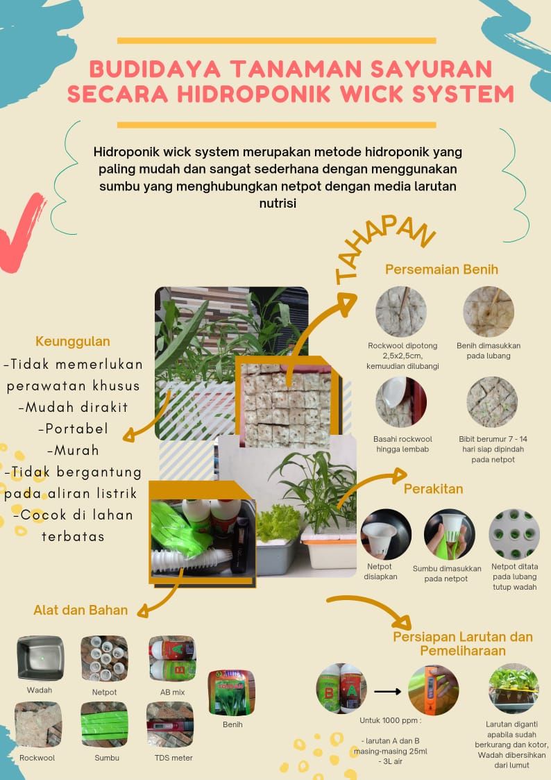 Upaya Penyediaan Bahan Pangan Mandiri, Mahasiswa UNDIP Ajak Warga ...