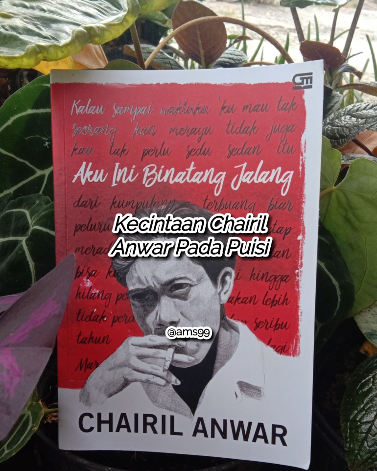 Fiksiana Kecintaan Chairil Anwar Pada Puisi (Dokpri @ams99 By Text On Photo) 