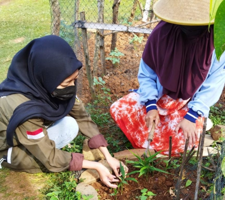 Penanaman Tanaman Jahe Merah di Lahan dengan Ibu Tani/dokpri