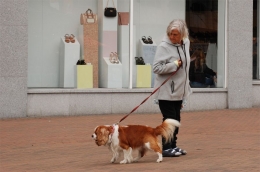 Anjing dan pemiliknya di Inggris (dokumentasi pribadi)
