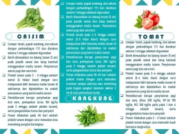 Video dan leaflet penjelasan budidaya sayuran dengan teknik vertikultur (dokpri)