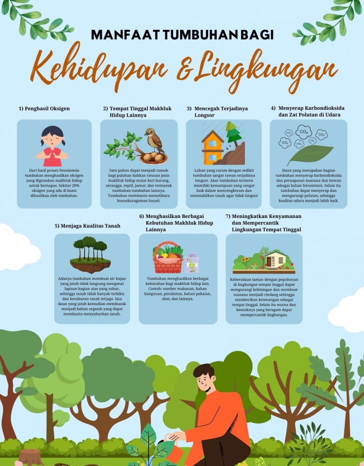 Infografis Tumbuhan