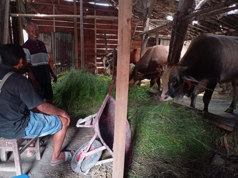 Mahasiswa KKN Undip Sosialisasikan Pemanfaatan Isi Rumen Hewan Qurban ...