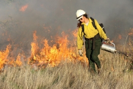 Memadamkan api dengan api. Sumber: https://www.northcoastjournal.com/humboldt/fighting-fire-with-fire/Content?oid=18869921