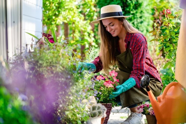 Ilustrasi berkebun (SHUTTERSTOCK/GOFFKEIN.PRO)