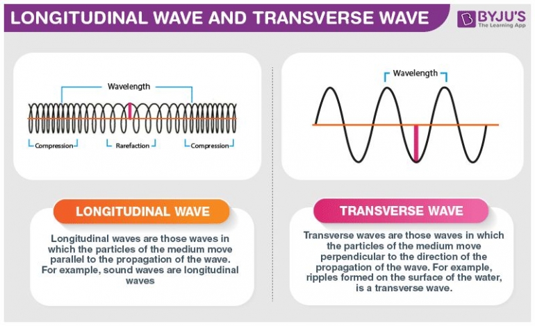 Perbedaan gelombang longitudinal dan gelombang transversal. Sumber: https://cdn1.byjus.com/