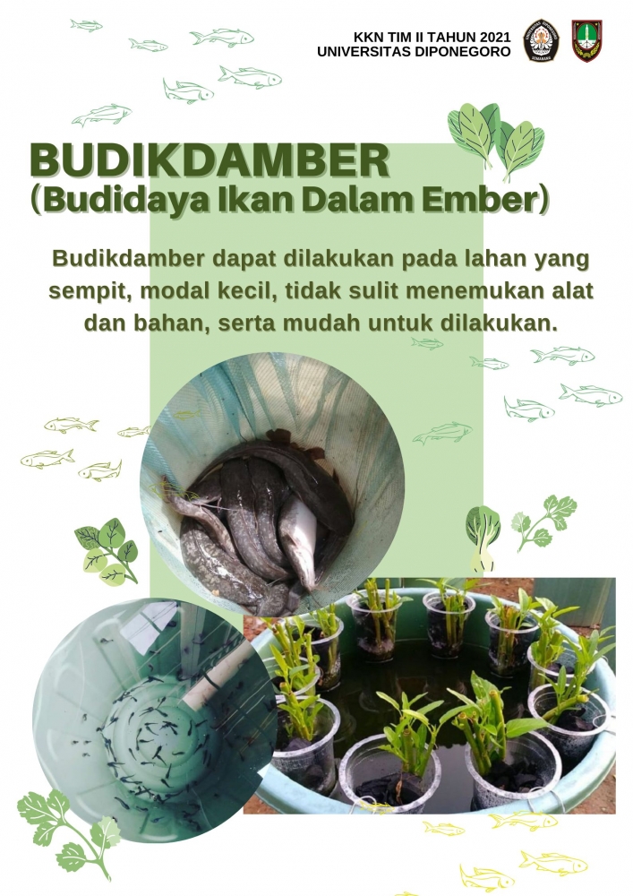 Poster Budikdamber (Dok. Pribadi)