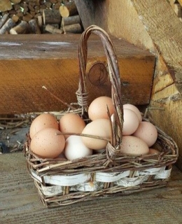 Telur dalam satu keranjang yang menggambarkan adanya resiko besar jika hanya satu macam investasi. (Foto : pixabay.com)