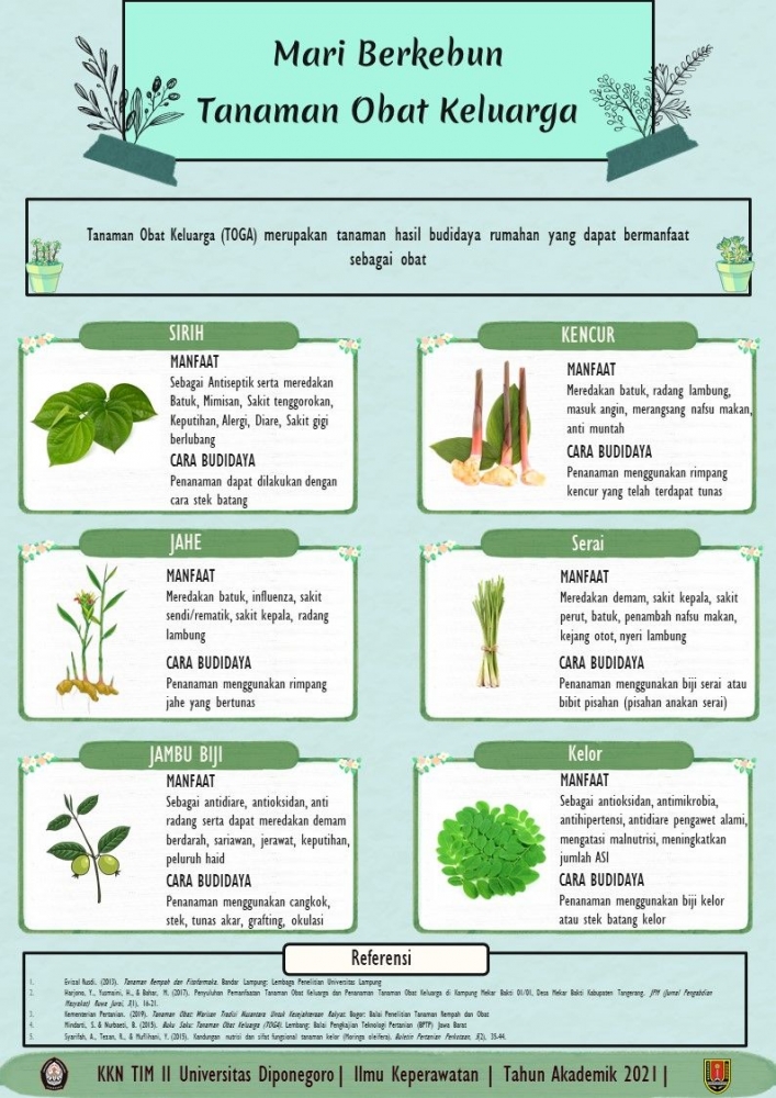 Aneka Tanaman Toga JenisJenis Tanaman Toga Manfaat dan Kegunaan Tanaman