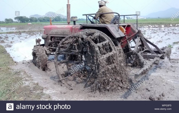 Petani mengemudikan traktor di ladang berlumpur. Sumber: https://www.alamy.com/