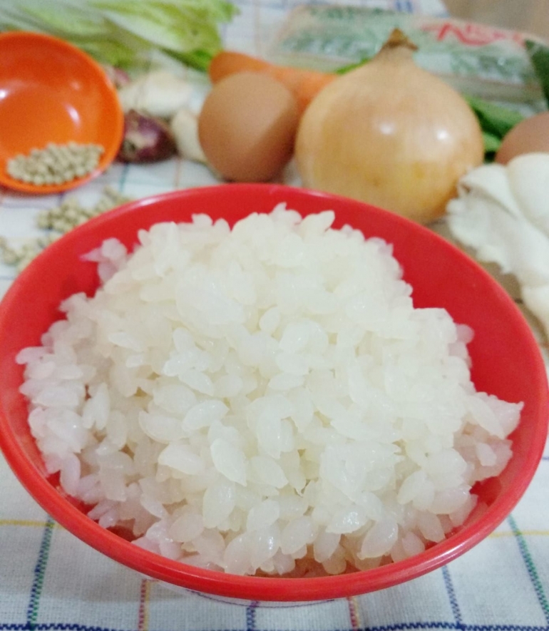 Ilustrasi nasi shirataki | Foto Seliara