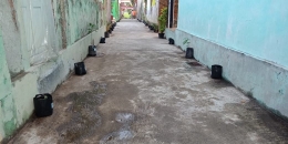 Tampilan Polibag tanaman sayuran disepanjang jalan RT 02 (Sumber: Galeri Penulis)