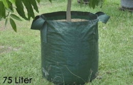 Planter bag ukuran 75 liter, cocok untuk tanaman mangga atau sejenis (Foto: Planterbag.net)