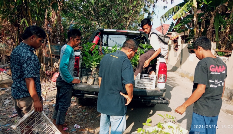 Dokpri. Mengangkut bibit pohon