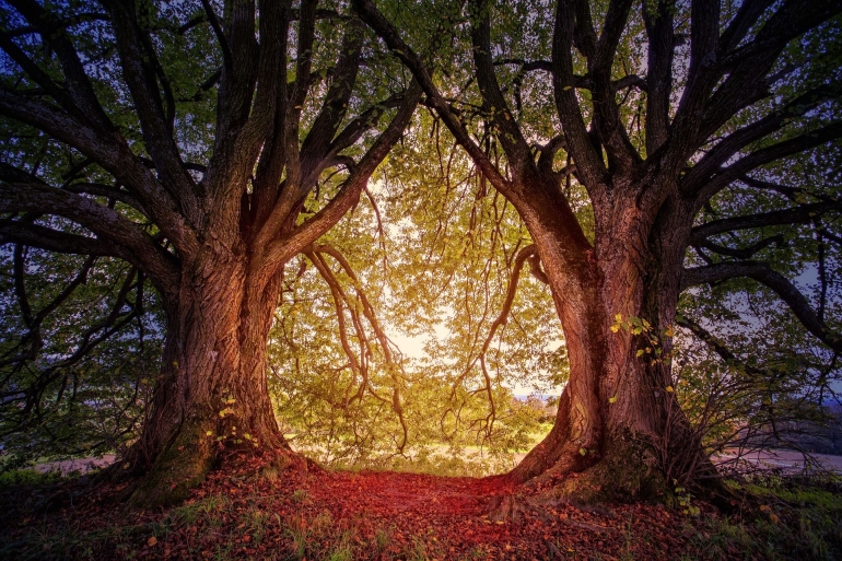 Ilustrasi ritual mengusir hantu penunggu pohon kembar oleh jplenio dari pixabay.com