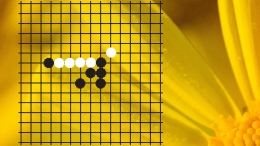 Permainan Gomoku, biji hitam yang berhasil menghalangi 4 deretan biji putih. Desain oleh Rini DST, menggunakan Canva.