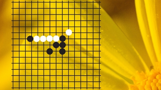 Permainan Gomoku, biji hitam yang berhasil menghalangi 4 deretan biji putih. Desain oleh Rini DST, menggunakan Canva.               
            googletag.cmd.push(function() { googletag.display('div-gpt-ad-712092287234656005-411');});
                