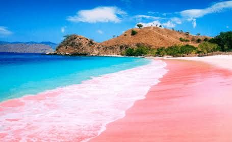 Pantai Pink (sumber: panduasia.com)