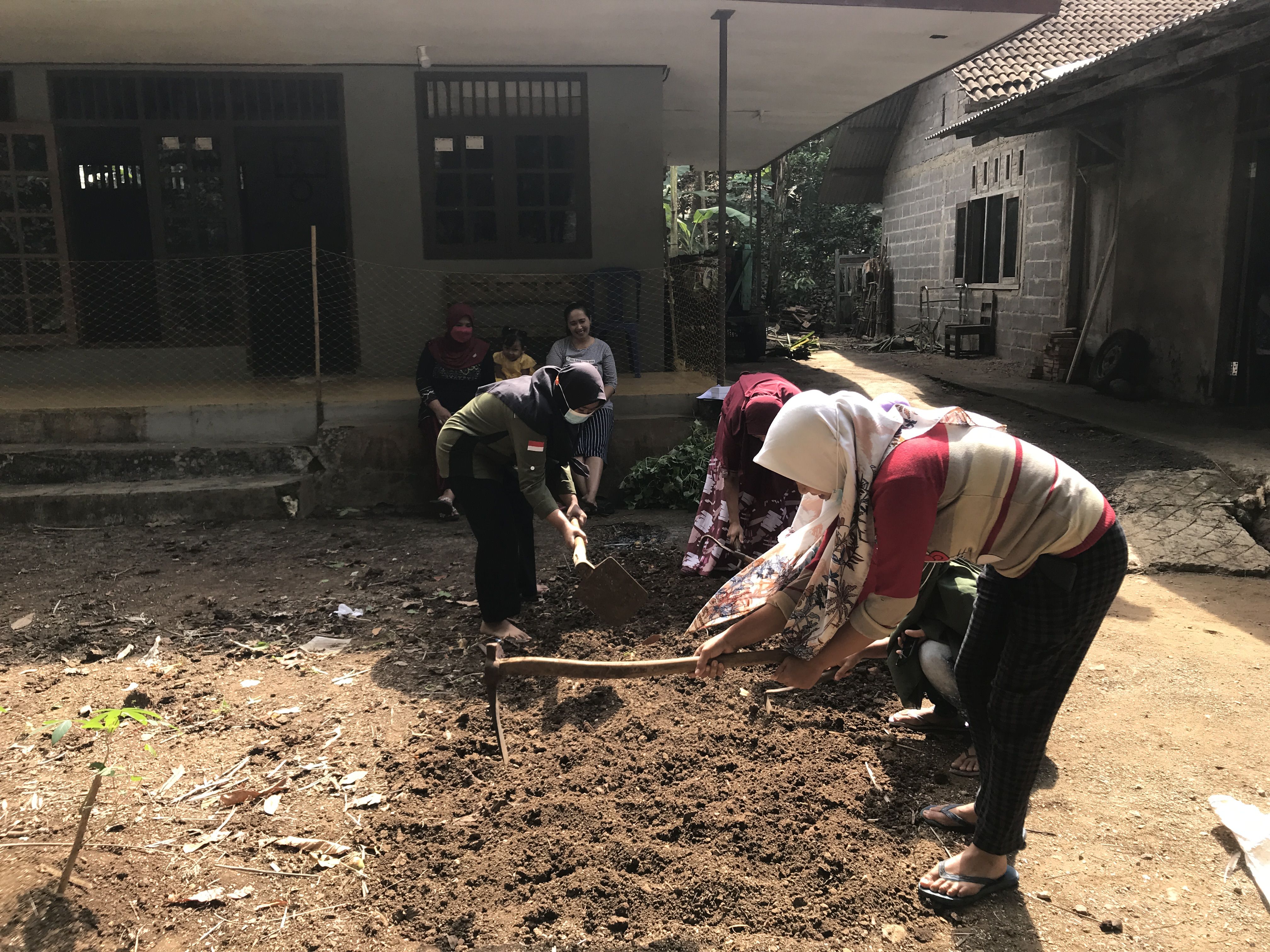 Penyuluhan Pemanfaatan Lahan Pekarangan Untuk Budidaya Tanaman Sayuran ...